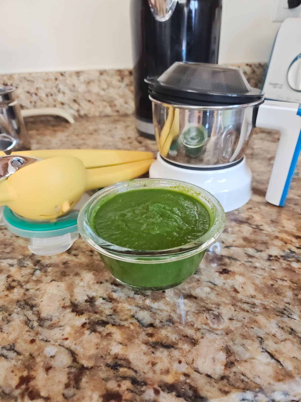 Mint Chutney